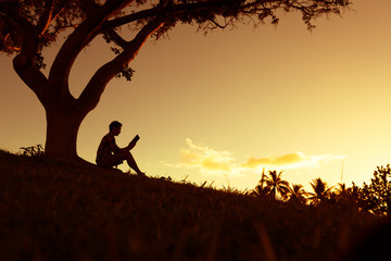 调料盒价格一般是多少