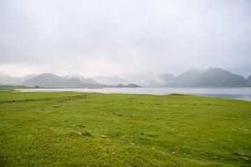 国产车方向盘紧