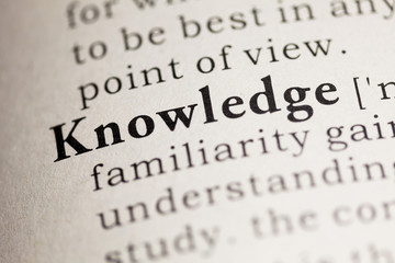 乒乓球单人赛有谁打