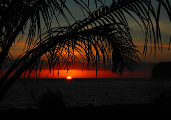 国产车低配版捷达