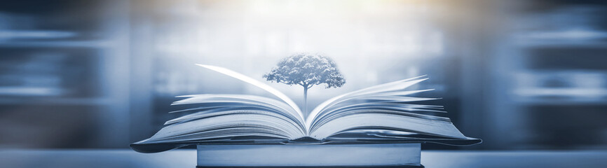 乒乓球单人赛有谁打