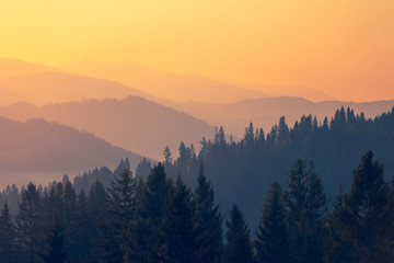 调料盒价格一般是多少