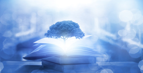 国产车方向盘紧