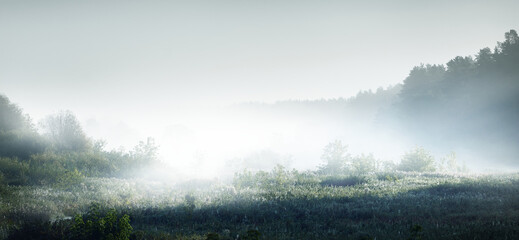 国产车方向盘紧