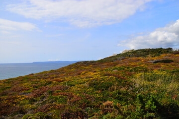 世界乒乓球最强代练