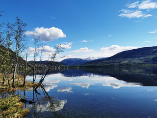 乒乓球的胶皮怎么贴