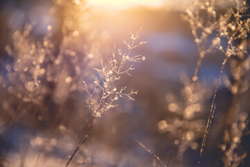 国产车实测耗油多少升