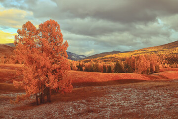 国产车没有实体按键吗