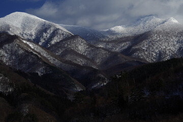 李佳薇 冯天薇 于梦雨 是中国人吗