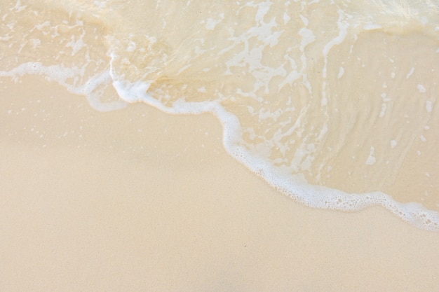 李佳薇 冯天薇 于梦雨 是中国人吗