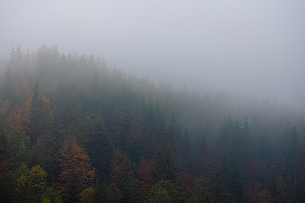 调料盒价格一般是多少