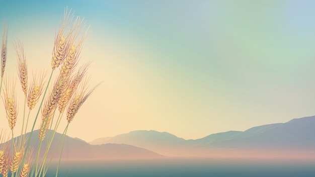 乒乓球单人赛有谁打