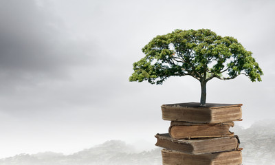 国产车没有实体按键吗