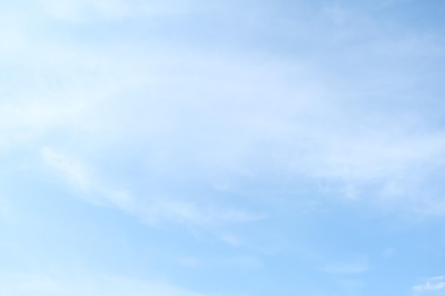 国产车低配版捷达