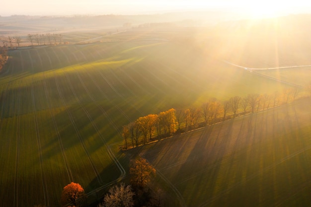 国产车没有实体按键吗