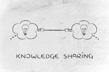 乒乓球单人赛有谁打