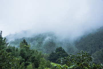 国产车低配版捷达